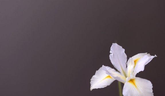 思維活躍 自帶文藝氣質(zhì)的星座,適合從事藝術(shù)創(chuàng)作